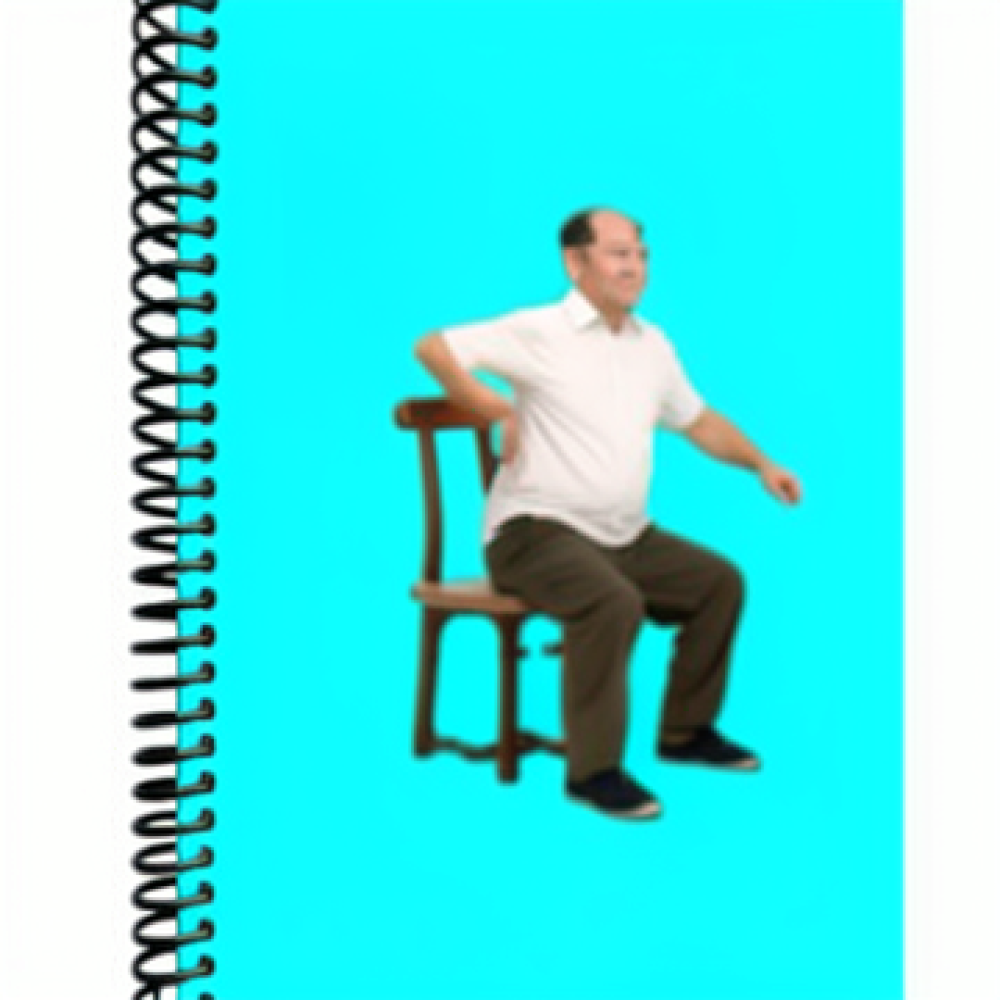 Diario de práctica de Tai Chi, - Health Wellness Goals reseña y precio